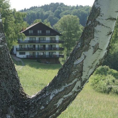 Hôtel Birkenhof à Wald-Michelbach Extérieur photo