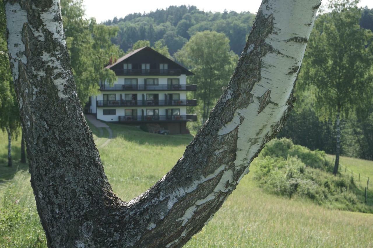 Hôtel Birkenhof à Wald-Michelbach Extérieur photo