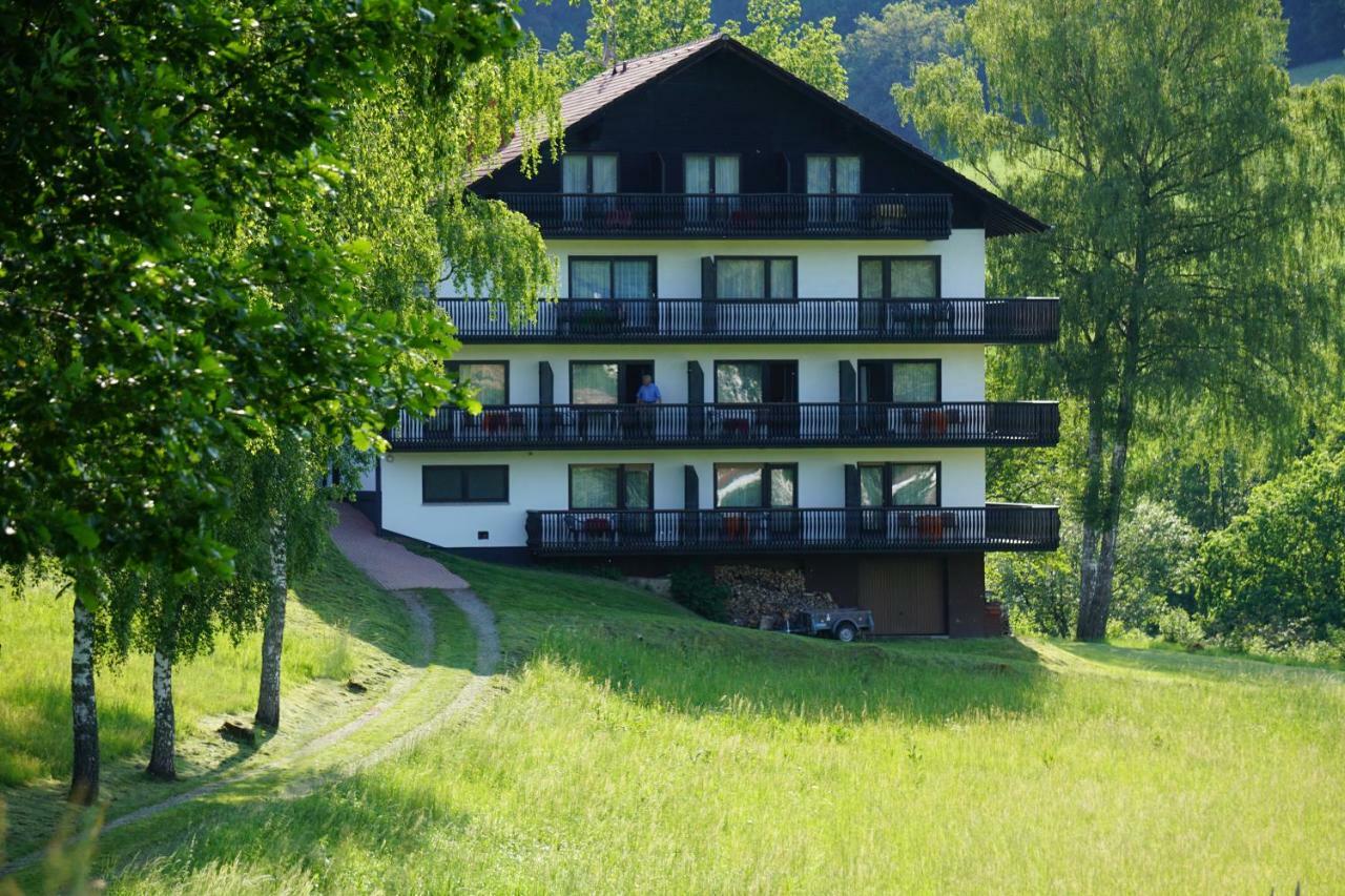 Hôtel Birkenhof à Wald-Michelbach Extérieur photo